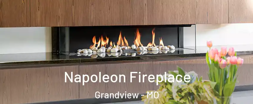  Napoleon Fireplace Grandview - MO